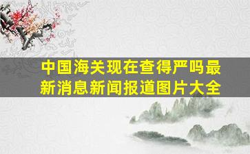 中国海关现在查得严吗最新消息新闻报道图片大全