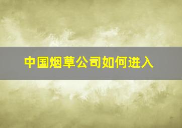 中国烟草公司如何进入