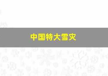 中国特大雪灾