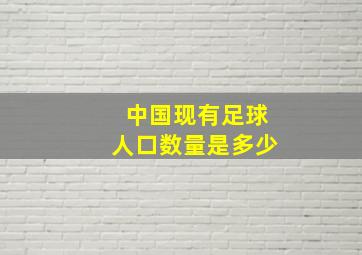 中国现有足球人口数量是多少