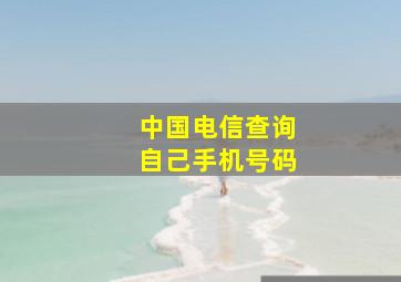 中国电信查询自己手机号码