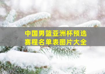 中国男篮亚洲杯预选赛程名单表图片大全