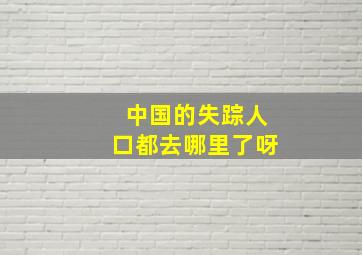 中国的失踪人口都去哪里了呀