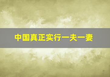 中国真正实行一夫一妻