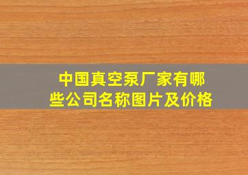 中国真空泵厂家有哪些公司名称图片及价格