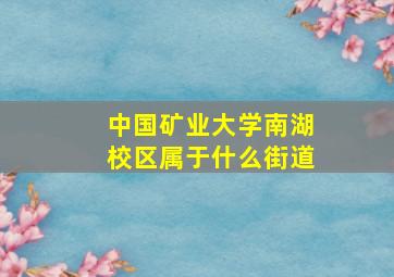 中国矿业大学南湖校区属于什么街道