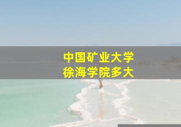 中国矿业大学徐海学院多大