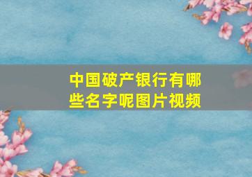 中国破产银行有哪些名字呢图片视频