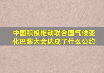 中国积极推动联合国气候变化巴黎大会达成了什么公约