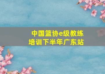 中国篮协e级教练培训下半年广东站