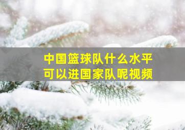 中国篮球队什么水平可以进国家队呢视频