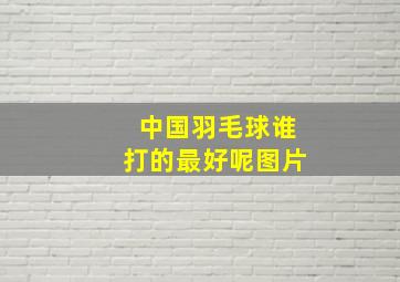 中国羽毛球谁打的最好呢图片