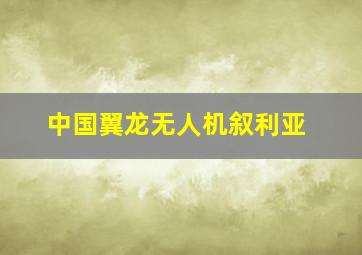 中国翼龙无人机叙利亚