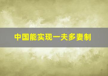 中国能实现一夫多妻制