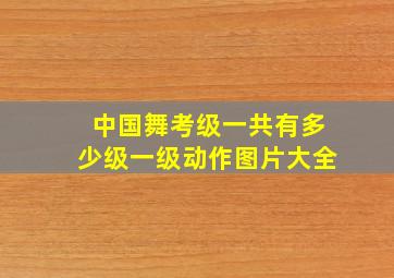 中国舞考级一共有多少级一级动作图片大全