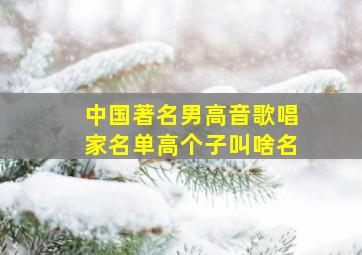 中国著名男高音歌唱家名单高个子叫啥名