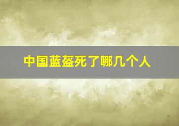 中国蓝盔死了哪几个人