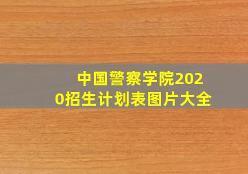 中国警察学院2020招生计划表图片大全