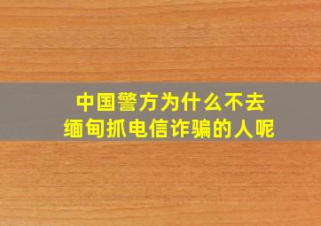 中国警方为什么不去缅甸抓电信诈骗的人呢