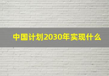 中国计划2030年实现什么