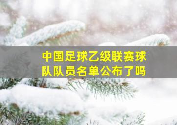 中国足球乙级联赛球队队员名单公布了吗