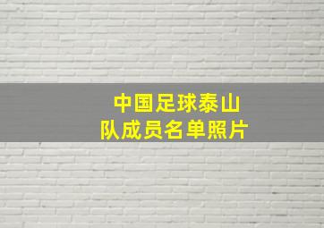 中国足球泰山队成员名单照片