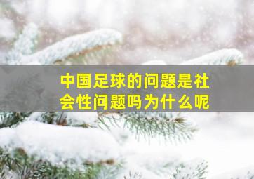 中国足球的问题是社会性问题吗为什么呢