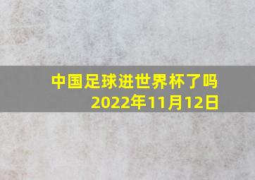 中国足球进世界杯了吗2022年11月12日