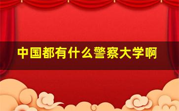 中国都有什么警察大学啊