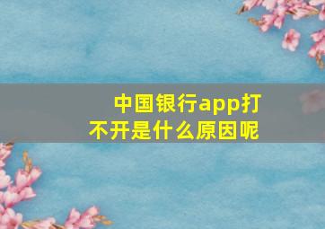 中国银行app打不开是什么原因呢