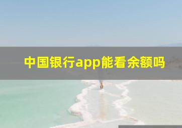 中国银行app能看余额吗