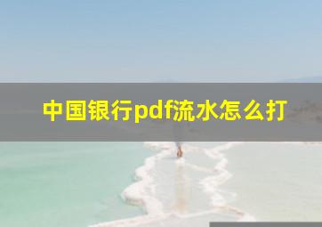 中国银行pdf流水怎么打