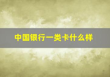 中国银行一类卡什么样