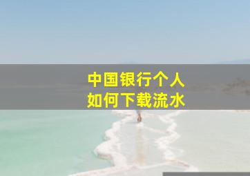 中国银行个人如何下载流水