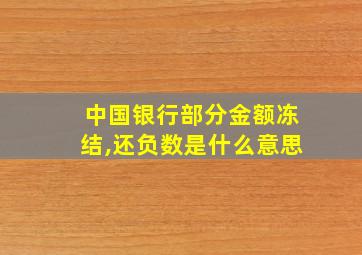 中国银行部分金额冻结,还负数是什么意思