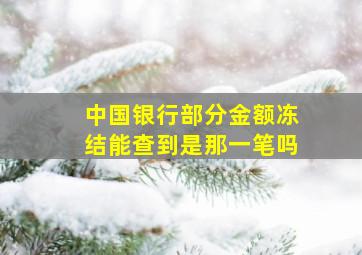 中国银行部分金额冻结能查到是那一笔吗