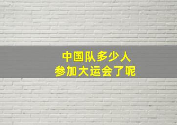 中国队多少人参加大运会了呢