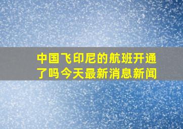 中国飞印尼的航班开通了吗今天最新消息新闻