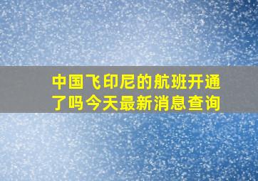 中国飞印尼的航班开通了吗今天最新消息查询