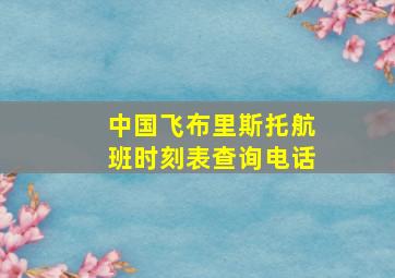 中国飞布里斯托航班时刻表查询电话