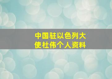 中国驻以色列大使杜伟个人资料