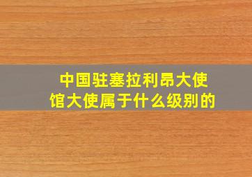 中国驻塞拉利昂大使馆大使属于什么级别的