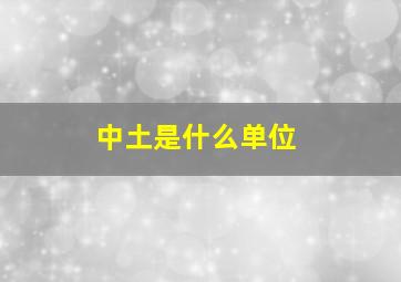 中土是什么单位