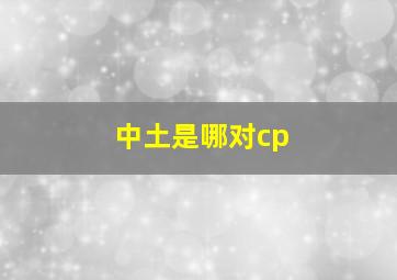 中土是哪对cp