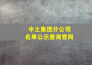 中土集团分公司名单公示查询官网