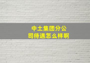 中土集团分公司待遇怎么样啊