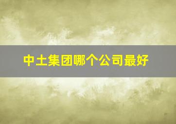 中土集团哪个公司最好