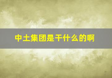 中土集团是干什么的啊