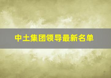 中土集团领导最新名单