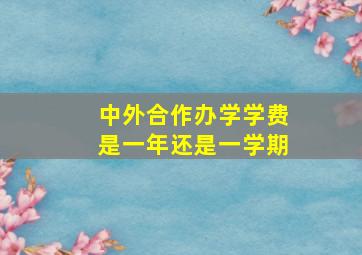 中外合作办学学费是一年还是一学期